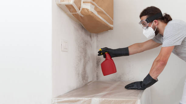Professional Mold Remediation technician working in Bridgeport, NY