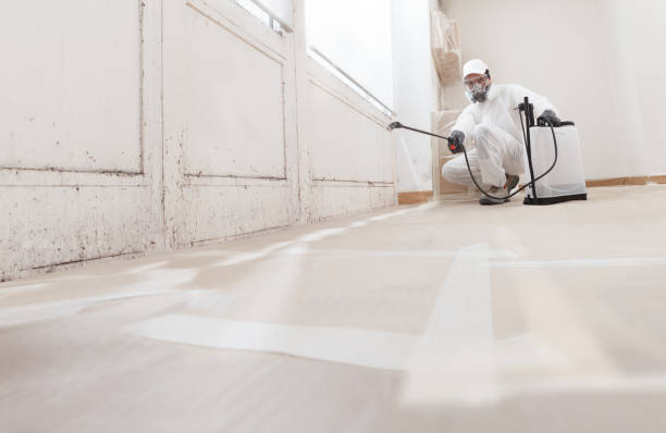 24/7 Emergency Mold Remediation experts in Bridgeport, NY