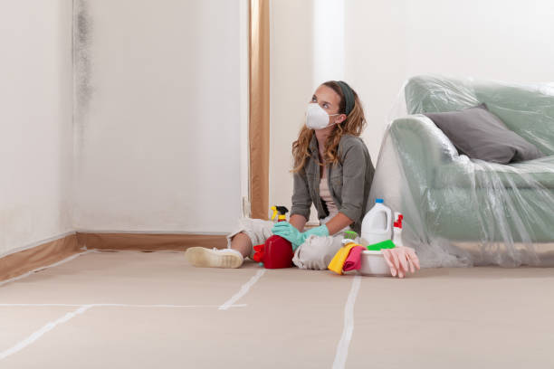Reliable Mold Remediation contractor in Bridgeport, NY by Cheap Mold Removal
